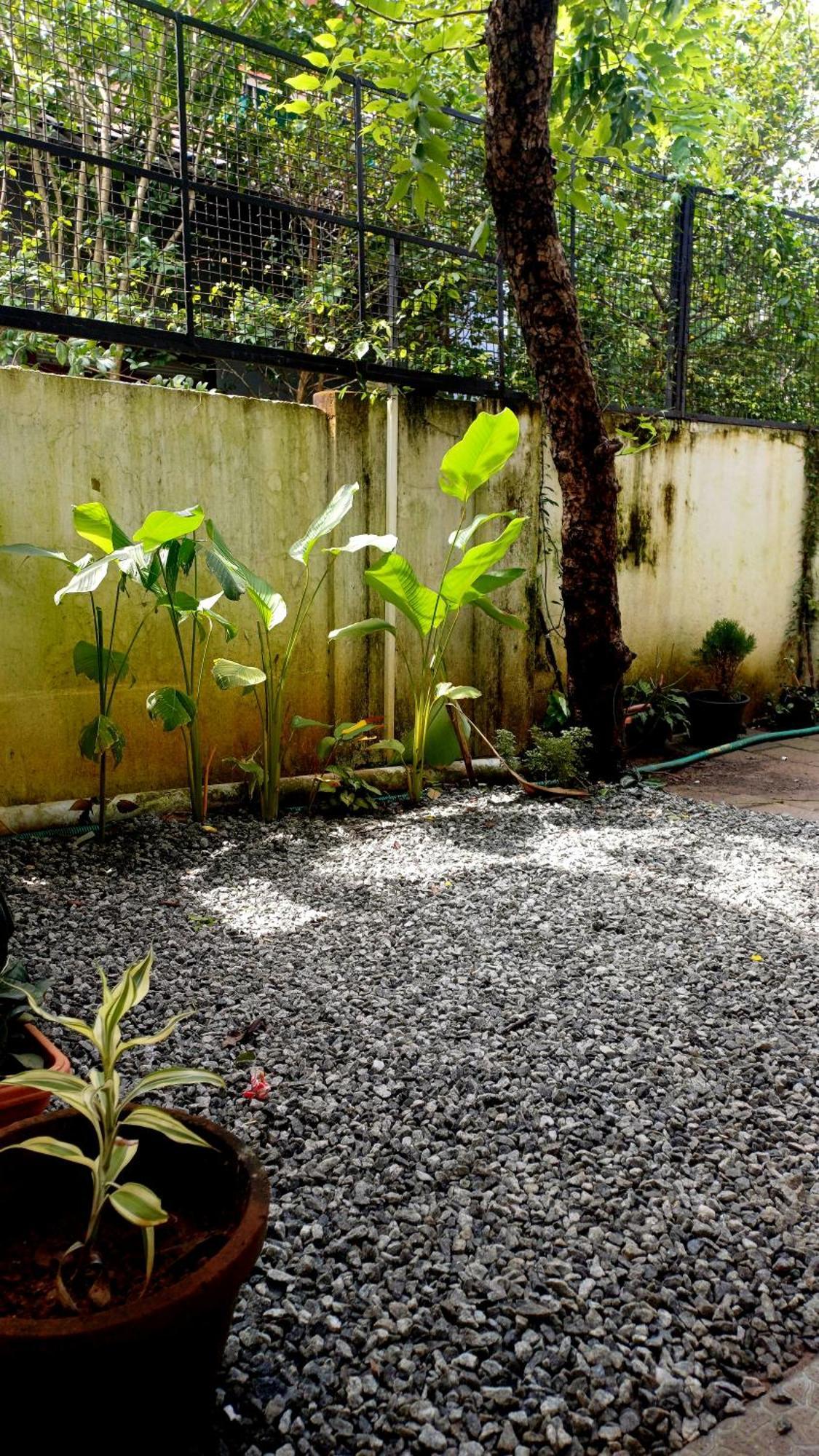 White Shore Homestay *